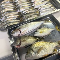 アジ