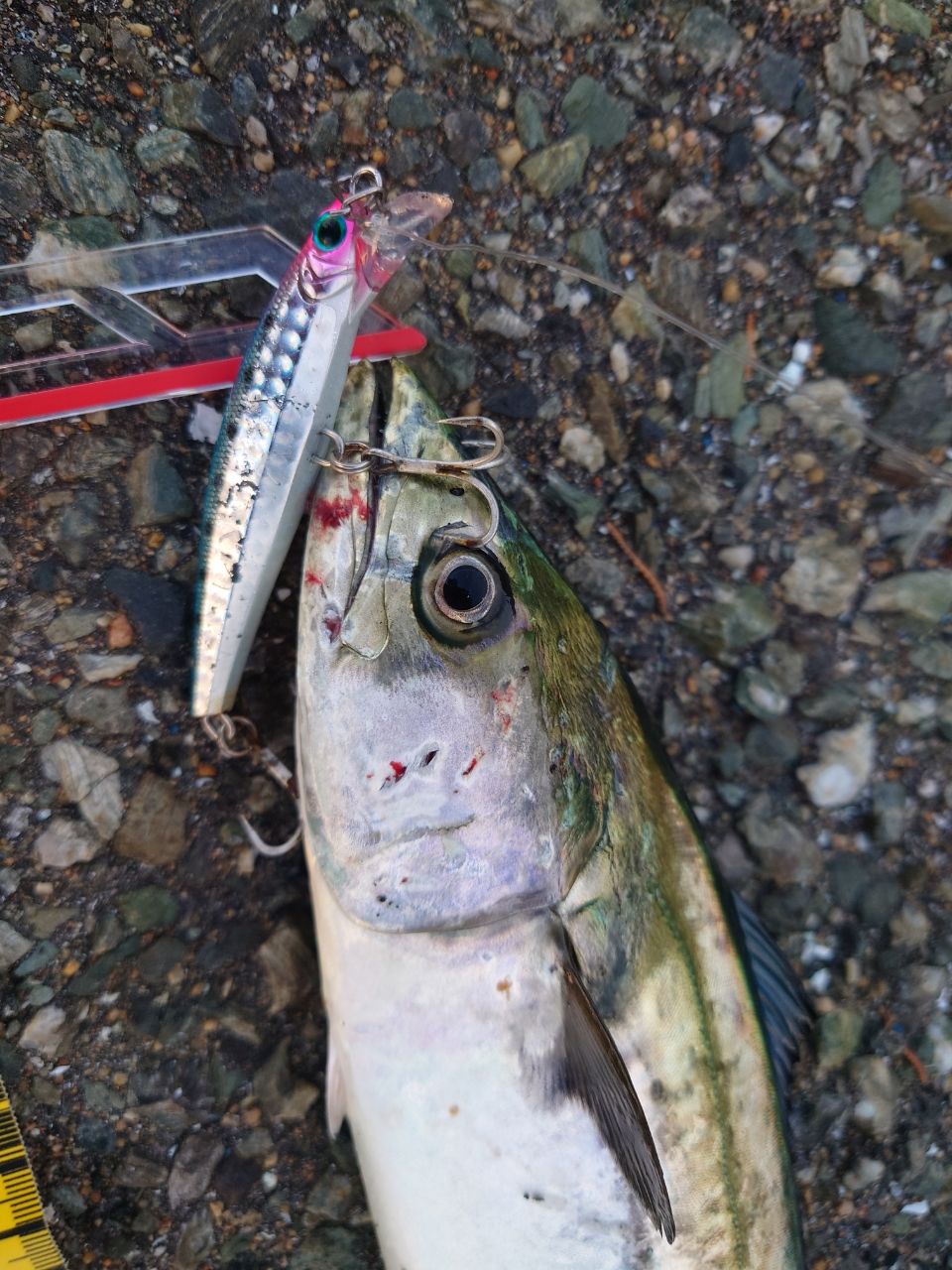 ジャンク　ヤマガブランクス アーリー93 フォーロック ERY-93MH/B ジャンク ヤマガブランクス アーリー93 フォーロック ERY-93MH/B