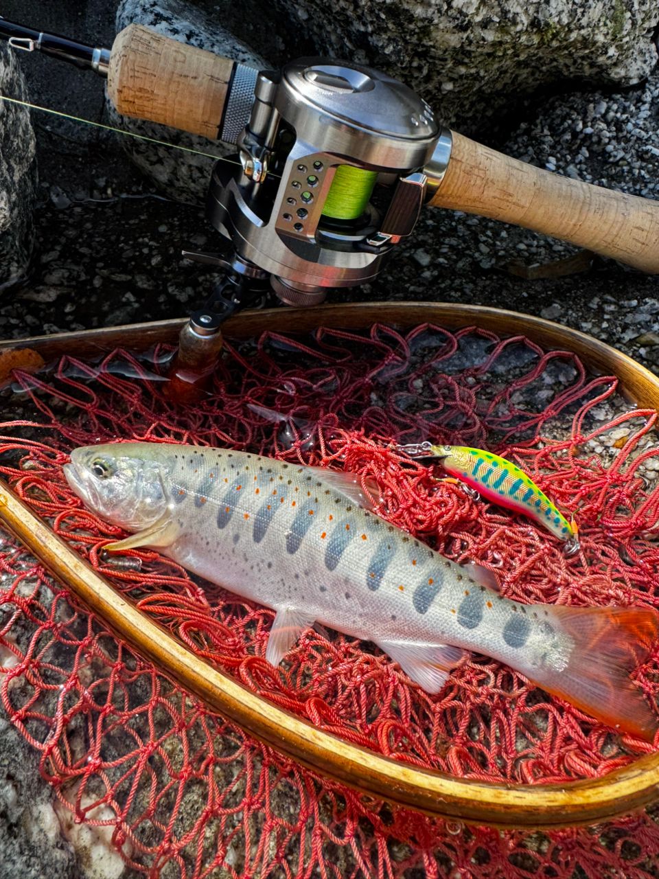 TENRYU レイズ スペクトラ RZS51LL-BCの最安値・インプレ・釣果 | 本音