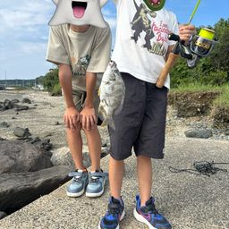ハゼ
