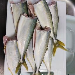 ワカシ