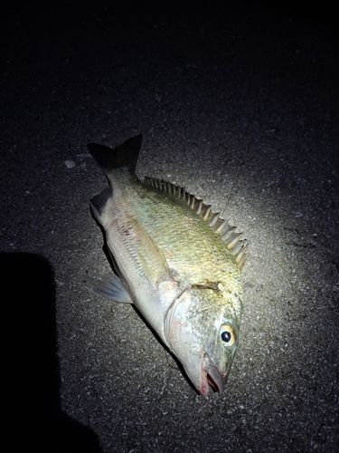 沖縄本島北部