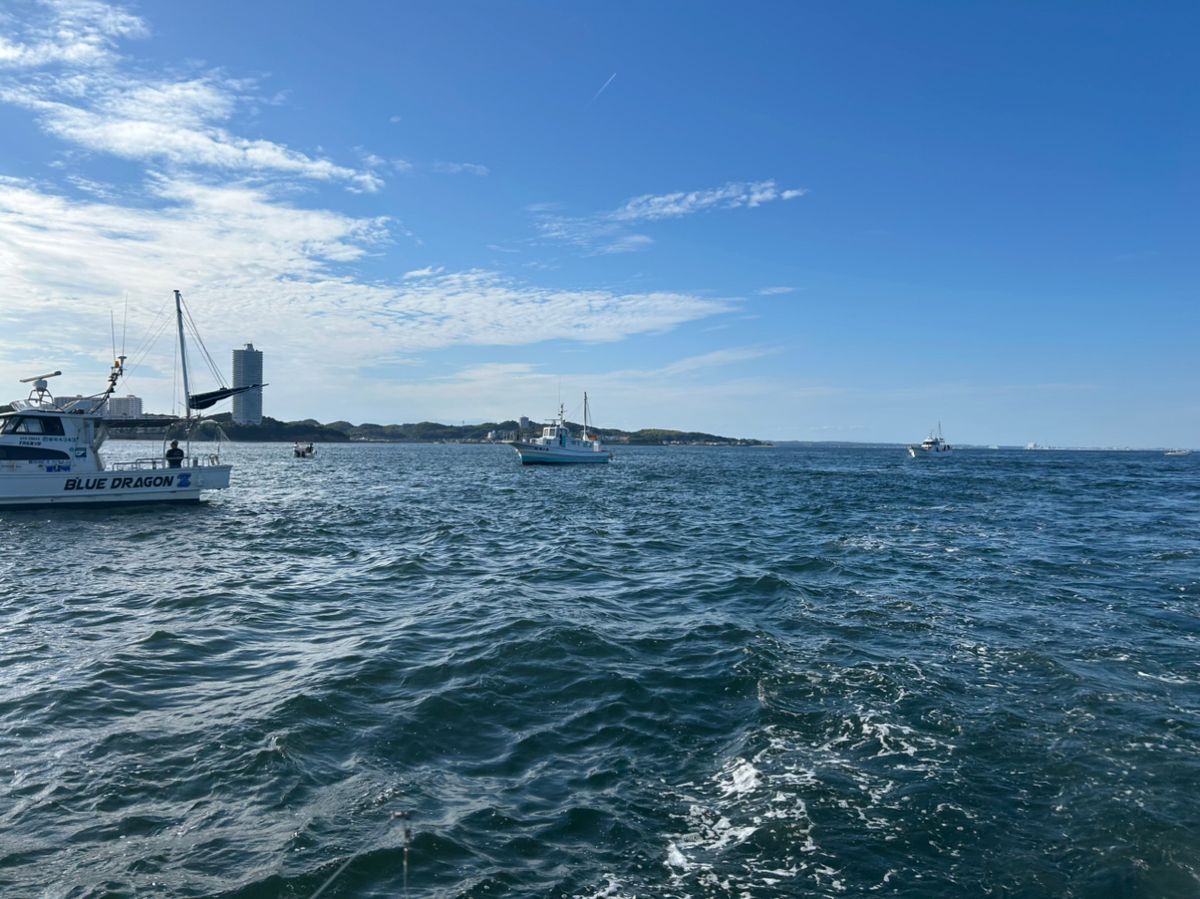 カゲ◯ウさんの釣果 3枚目の画像