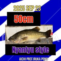 ラージマウスバス