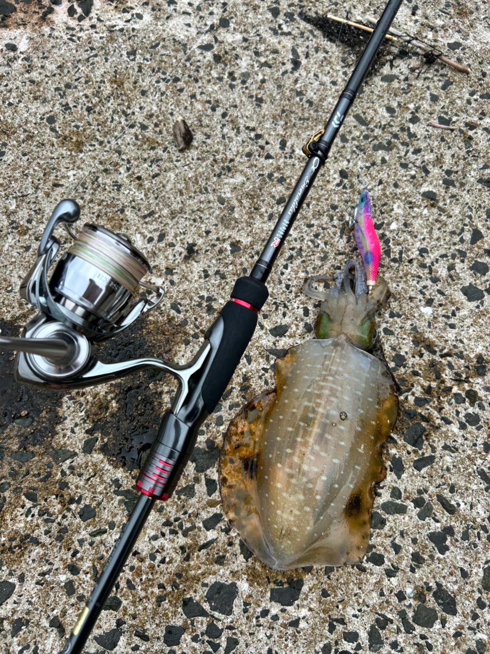 DAIWA 21エメラルダス ストイスト RT 84Mの最安値・インプレ