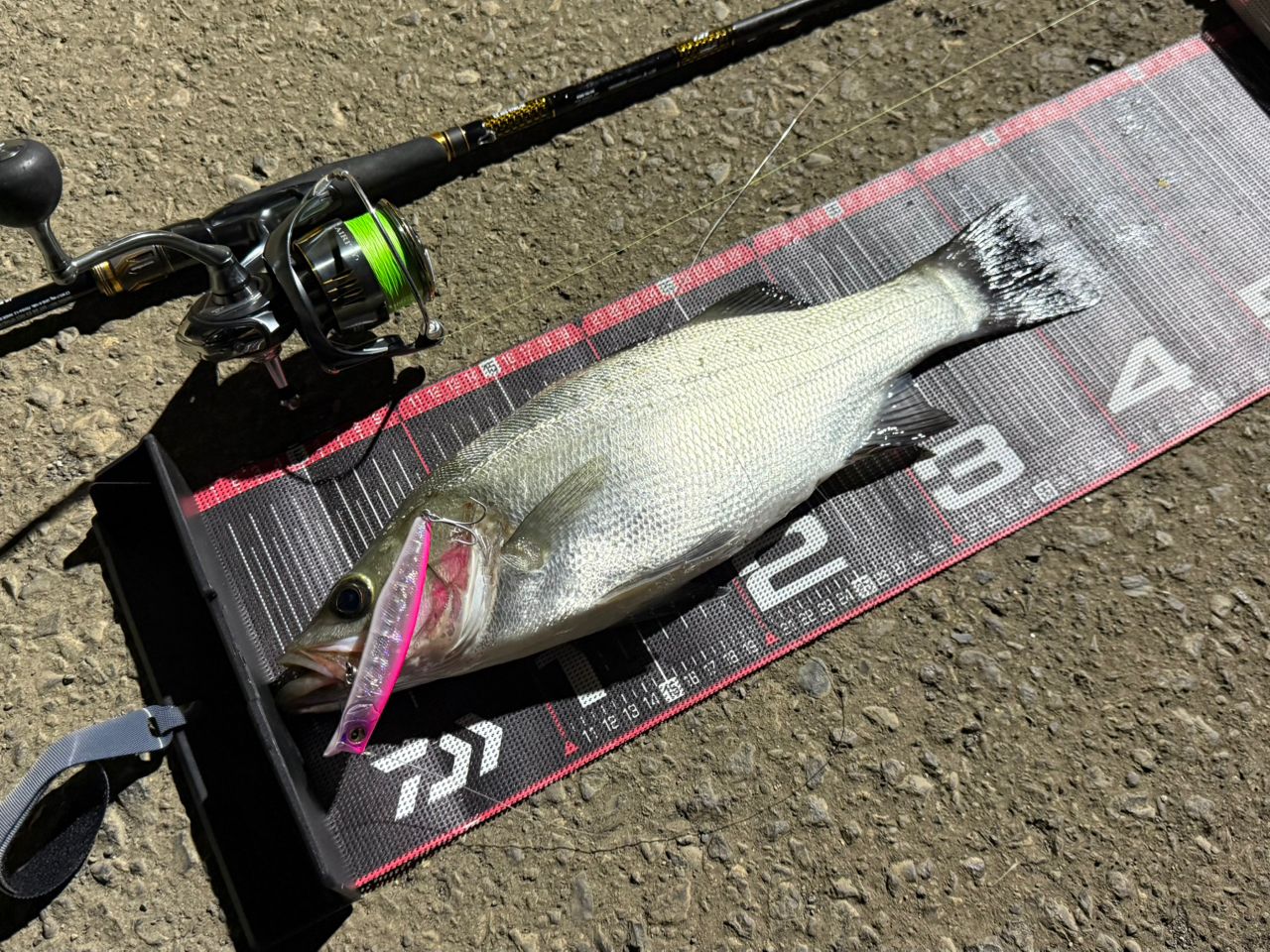 DAIWA 21モアザン ブランジーノ EX AGS 97ML/Mの最安値