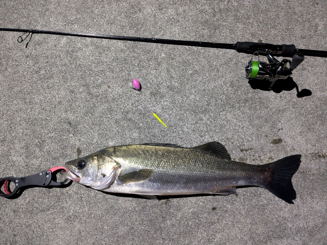 Ripple Fisher リアルクレセント65 シーズン特集】vol.8 「リアルクレセント・シリーズコンセプト