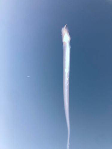 アナゴの釣果