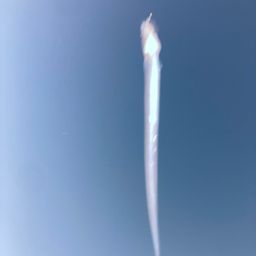 アナゴ
