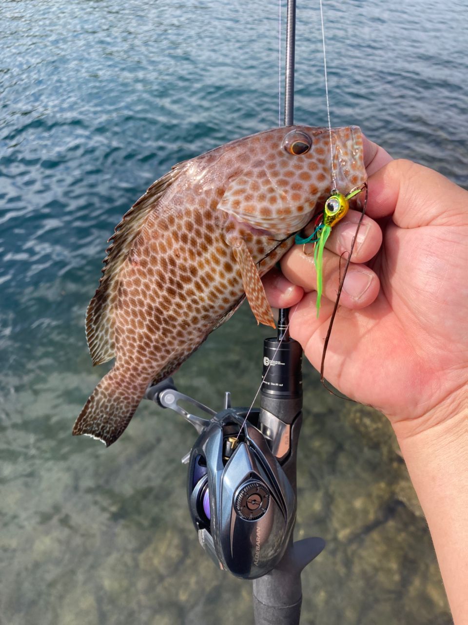 シマノ 22アルデバラン BFS XG LEFT SHIMANO 22アルデバラン BFS XG LEFTの最安値・インプレ・釣果