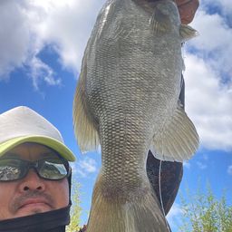 スモールマウスバス