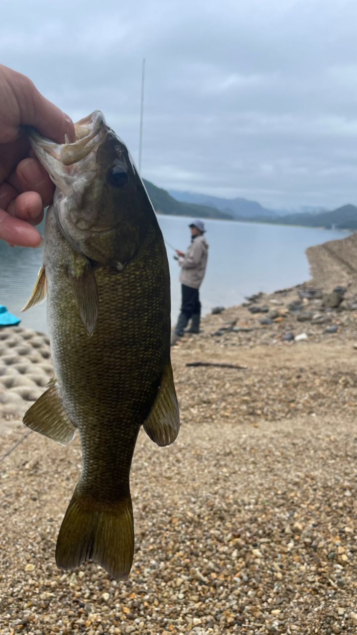 スモールマウスバス