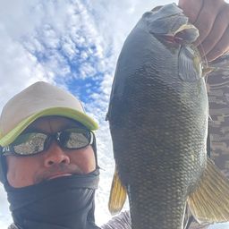 スモールマウスバス