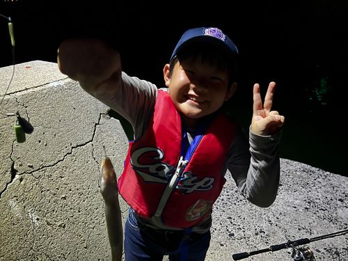 アナゴの釣果