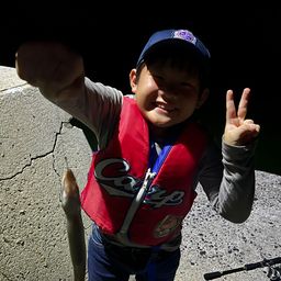 アナゴ