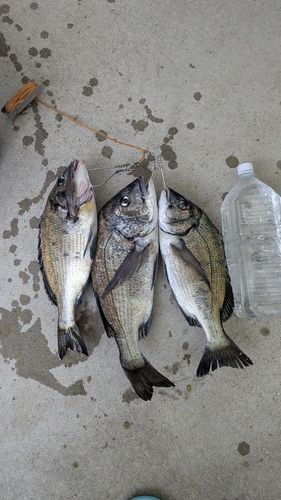 牛窓海水浴場