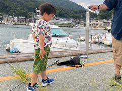 タチウオの釣果