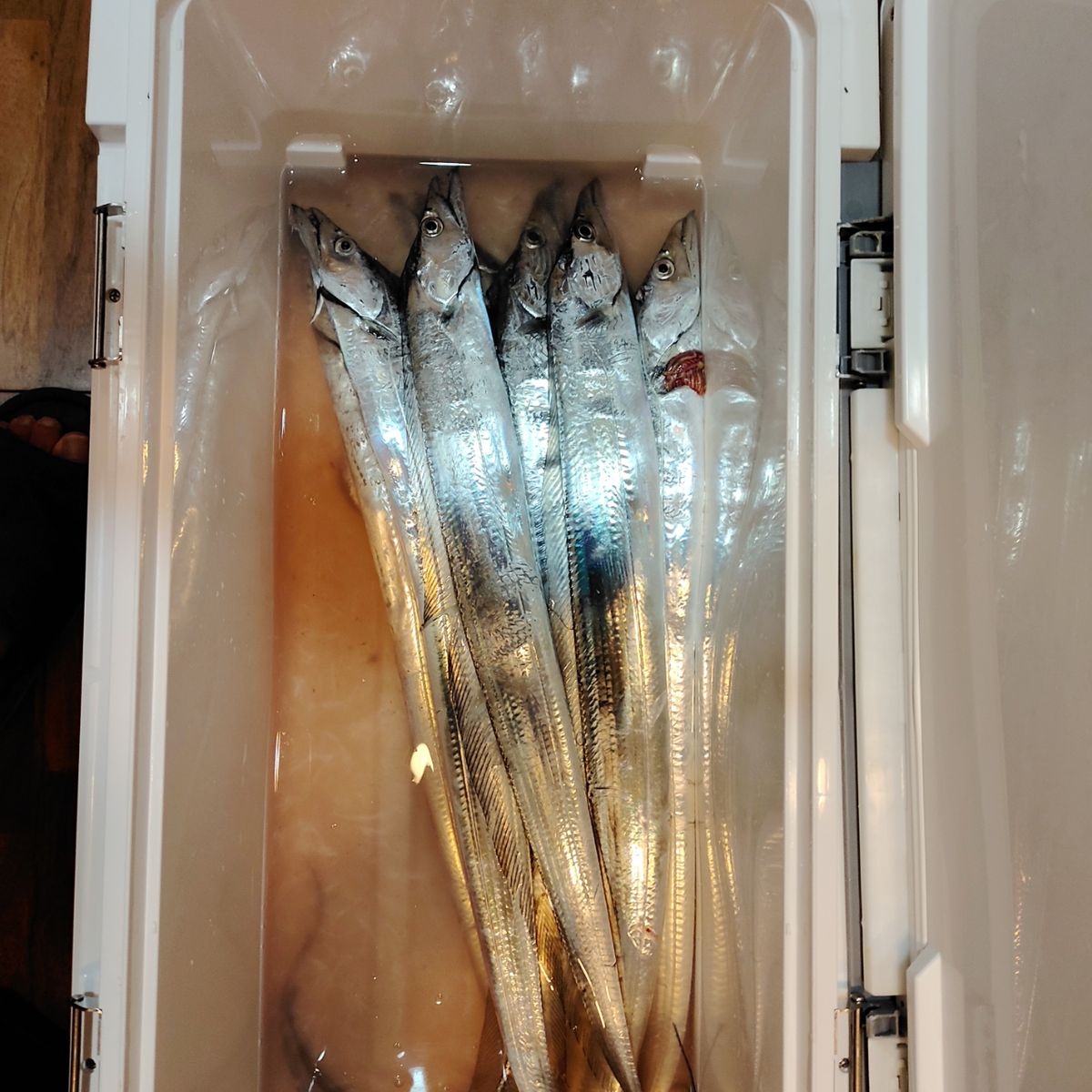 Tsuka0415さんの釣果 1枚目の画像