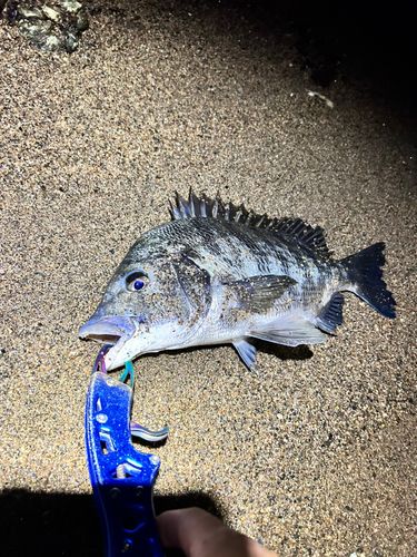 若狭湾
