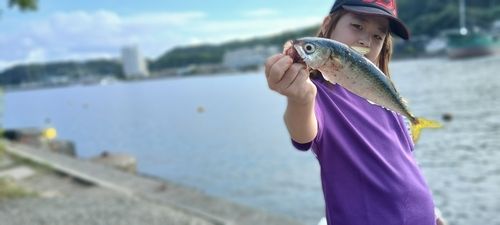 サバの釣果
