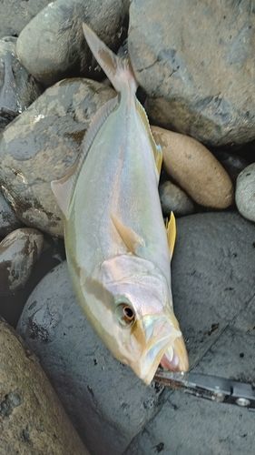 牧崎風の公園