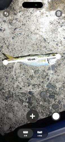 表浜名湖