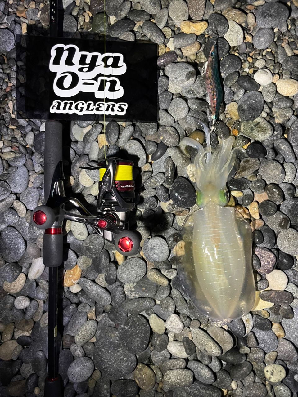 【早い者勝ち】値下げ❗️SHIMANO 18 セフィアBB S86M Amazon | シマノ(SHIMANO) エギングロッド 18 セフィア BB S86M