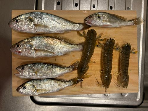 石巻湾