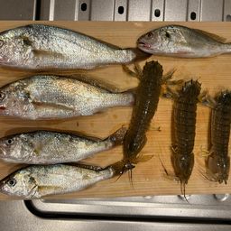 イシモチ