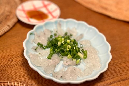 コモンフグの釣果