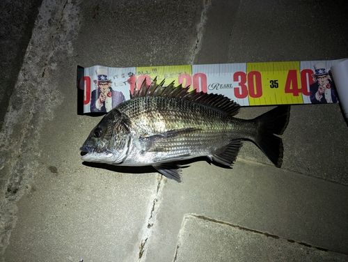 奥浜名湖