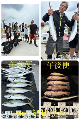 メジロの釣果