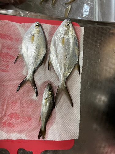 磯津漁港