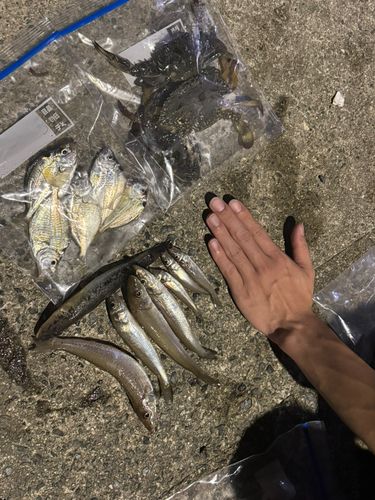 今津湾