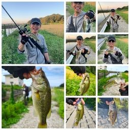 ラージマウスバス