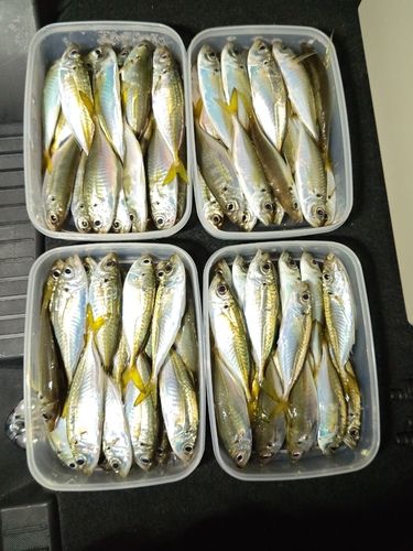 五ヶ所湾