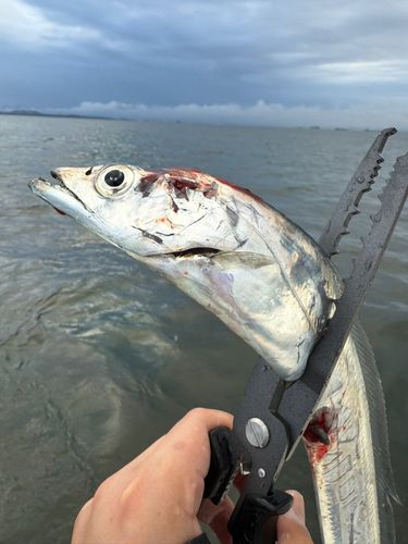 博多湾
