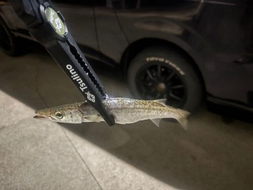 英虞湾