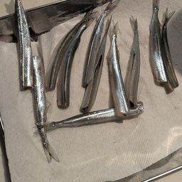 マアジ