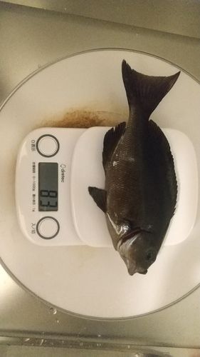 越前海岸