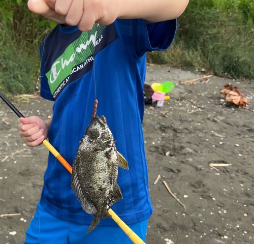 大井ふ頭中央海浜公園