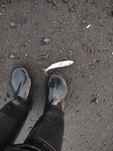 道央地方