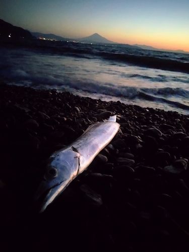 石津浜