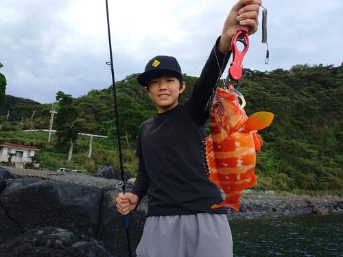 伊豆大島