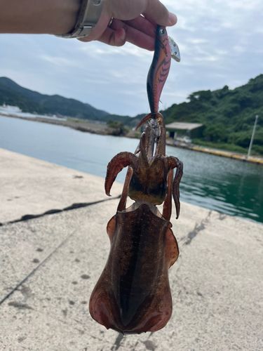 七類湾