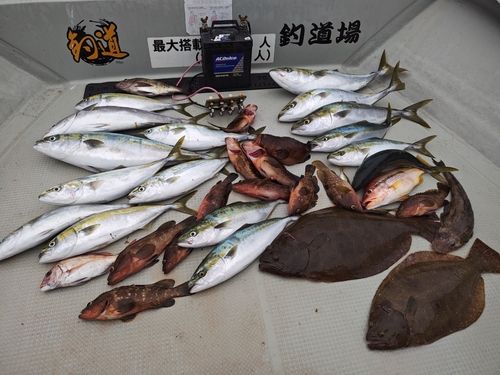 メジロの釣果