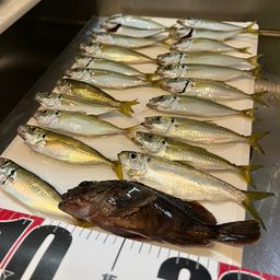 アジ