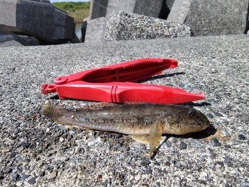 日立沖