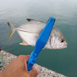 メッキ