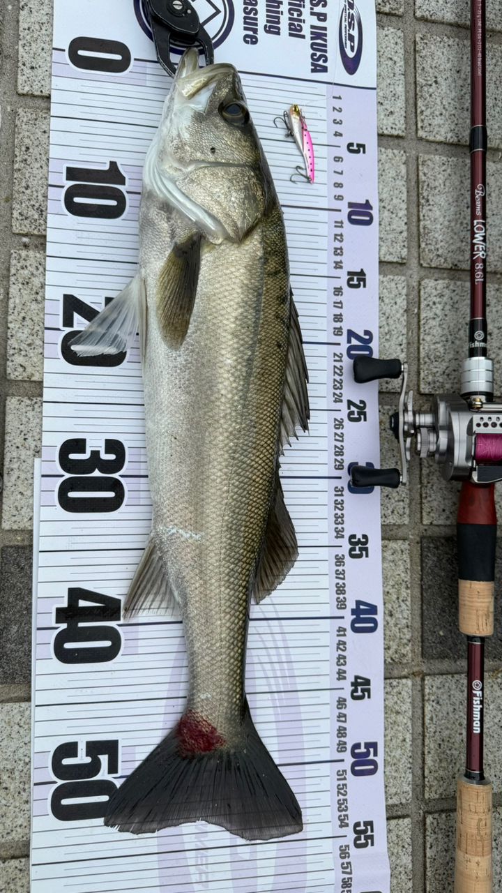 SHIMANO 23カルカッタコンクエスト BFS XG LEFTの最安値